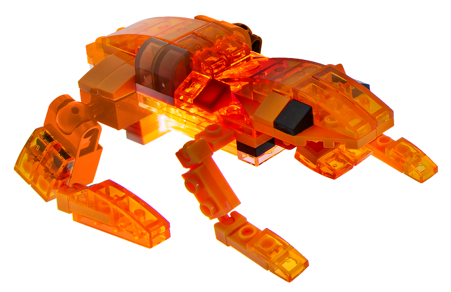 4-in-1 Tiger