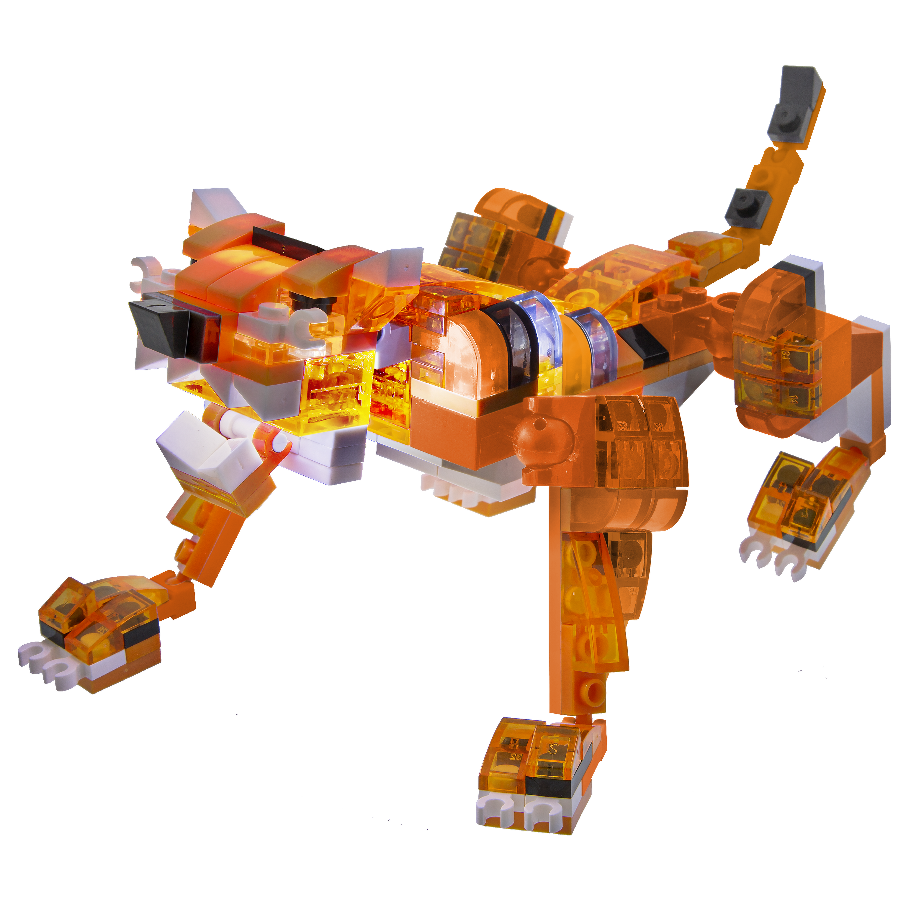 4-in-1 Tiger