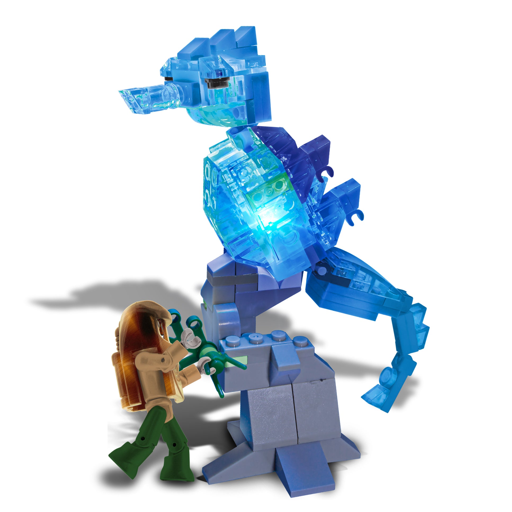 Giant Seahorse Roundup